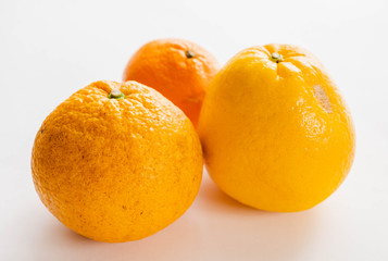 柑橘類