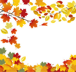 Naklejka na ściany i meble Herbst Schönheit, Blätter fallen, Rahmen – Vektor Illustration