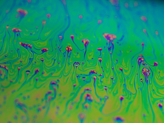 Naklejka na ściany i meble a colorful soap bubble, close up