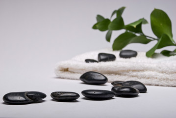 Zen Spa Holistic scene