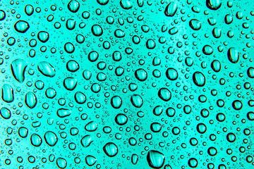 background green with macro drops