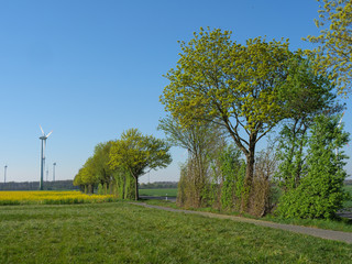 Windräder und mühlen im Münsterland