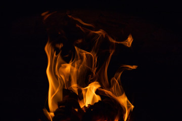 Burning wood in the furnace. Fiery tongues of flames