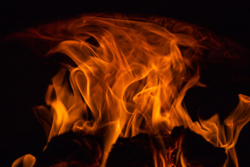 Fototapeta premium bright fiery lines on black background