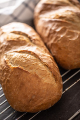 Freshly baked breads placed on metal grid close-up portrait