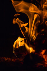 interesting shapes of fire tongues on black background © Liubov Kartashova