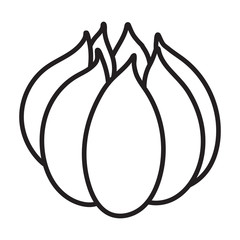 Garlic vector icon.Outline vector icon isolated on white background garlic .