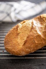 Portrait of a crusty bread placed on an oven grid with a white towel background close up