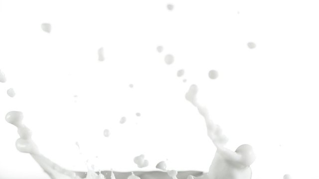 Super slow motion of milk splash isolated on white background. Filmed on high speed cinema camera, 1000 fps.