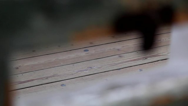 Seodaemun Prison, Seodaemun Independence Park, Seodaemun-gu, Seoul, Korea - February 04, 2014: Korea's first prison with modern facilities, built in 1908.