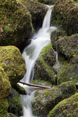 Moss covered waterfall through rocks