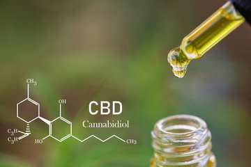 CBD elements in Cannabis,  droplet dosing a biological and ecological hemp plant herbal...