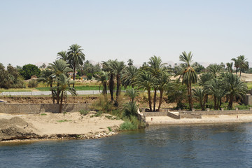 Nile and views of the River