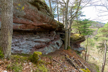 Obraz premium Wanderweg Frankenstein Rheinland Pfalz Deutschland