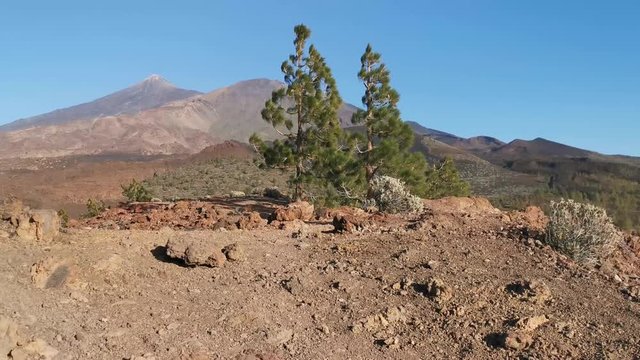 Espagne, Tenerife, parc national du Teide,  randonn&eacute;e du volcan Samara