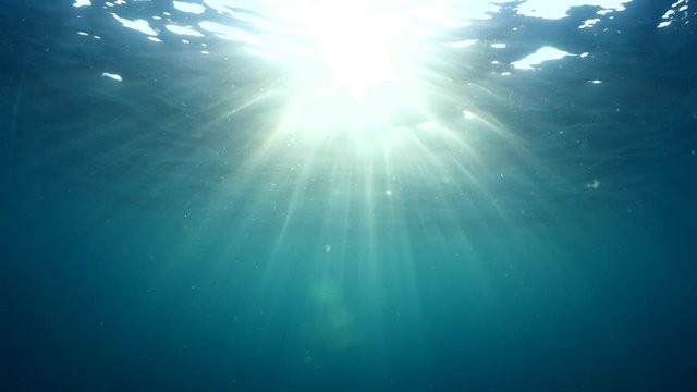 fish scenery underwater sun beams sun rays underwater mediterranean sea sun shine ocean scenery