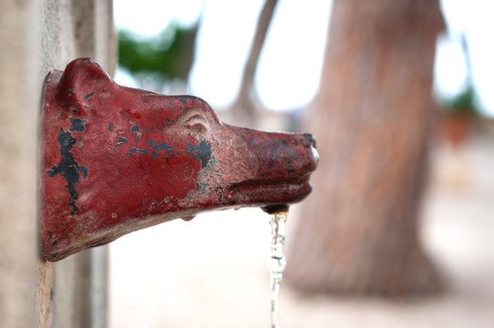 Drinking fountain in the shape of a wolf's head in the garden of the Orange Trees on the Aventine Hill, Rome