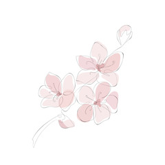 Hand drawn cherry blossom. Pink Sakura branch with flower line art. Blooming Apple tree Vector illustration