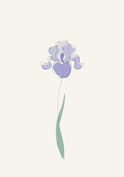 Purple Iris Flower In One Line Art Drawing Style. Black Line Sketch. Vector Illustration