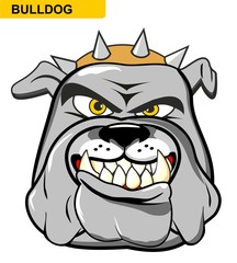 illustration cartoon of a wild and angry bulldog. Clipart isolated on withe