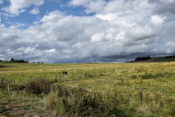 Paysage de campagne