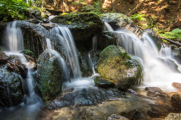 wasserfall mit grossen felsen in einem wald