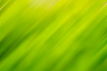 Blurred blurry green summer background for agro design.