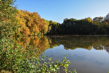 Le lac en automne