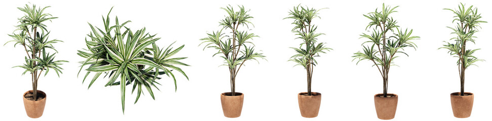 Set or collection of beautiful green interior plants isolated on white background. Concept or conceptual 3d illustration for nature and ecology, beauty and gardening, spring or summer
