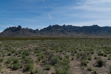 The Florida Mountains in early spring.