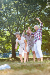 Senioren beim Boule Spiel im Garten