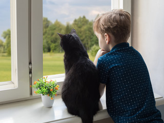 Caucasian boy and black cat look out the window. On the street flowering trees and good weather. Insulation concept in coronavirus and polynosis. Copyspace