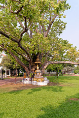 Buddha statues in Wat Niwet Thammaprawat temple