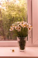 
bouquet of daisies in a vase stands on a white window