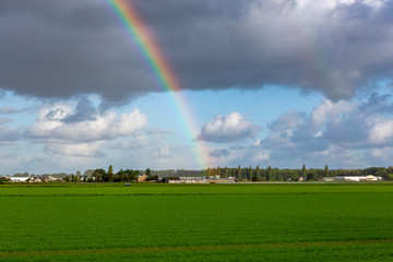 Rainbow in the cloudy sky over the flowerfields of Lisse in the Netherlands.