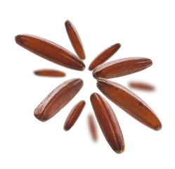 Raw brown rice levitates on a white background