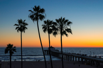 Palm trees over the tropical beach at sunset, Los Angeles, California