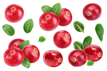 Cranberry big set composition watercolor illustration isolated on white background