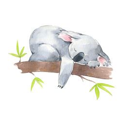 Cute koala sleeping in a tree, watercolor illustration