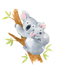 Cute koala family in a tree, watercolor illustration © kamenuka