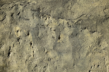 old gray wall / abstract vintage gray background, texture old concrete, plaster crack