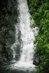 Fototapeta na wymiar ungle waterfall philippines / river falls from rocks, waterfall on philippine islands, tourism in asia