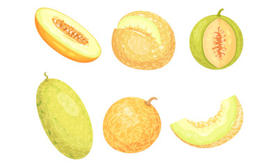 Whole and Cross Section of Melon Fruit with Juicy Flesh and Seeds Inside Vector Set