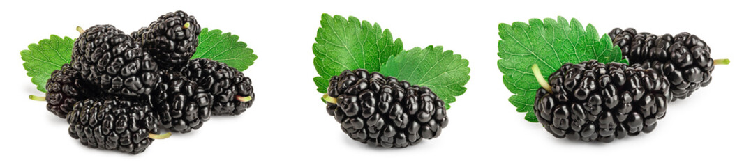 Mulberry with leaf isolated on white background. Set or collection