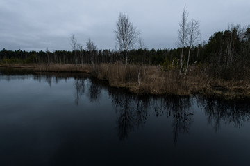 Forest lake