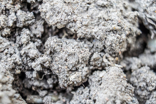 Gray earth soil close-up. Macro photo