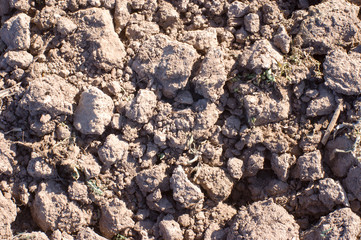 Clods of soil pattern background