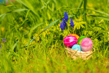 sunny, bright, vibrant Easter background, hand-painted eggs on the background of grass and spring flowers