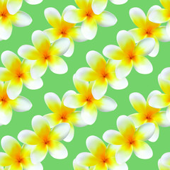 Vector seamless pattern of light yellow plumeria flowers. The flowers are made in a realistic style using the gradient mesh technique. Great for scrapbooking and abstract floral backgrounds.