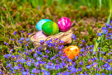 sunny, bright, vibrant Easter background, hand-painted eggs on the background of grass and spring flowers